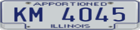 Truck License Plate